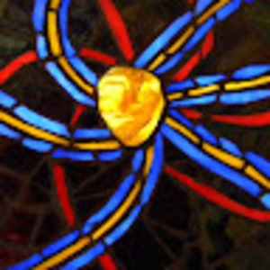 Meet your Posher, Colleen